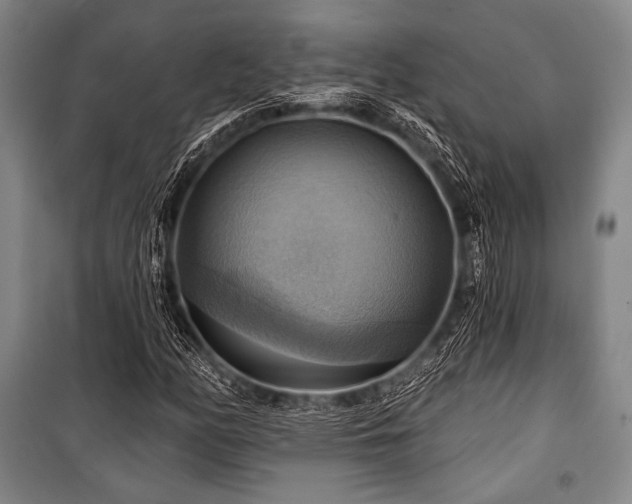 X0000101161158200806271003