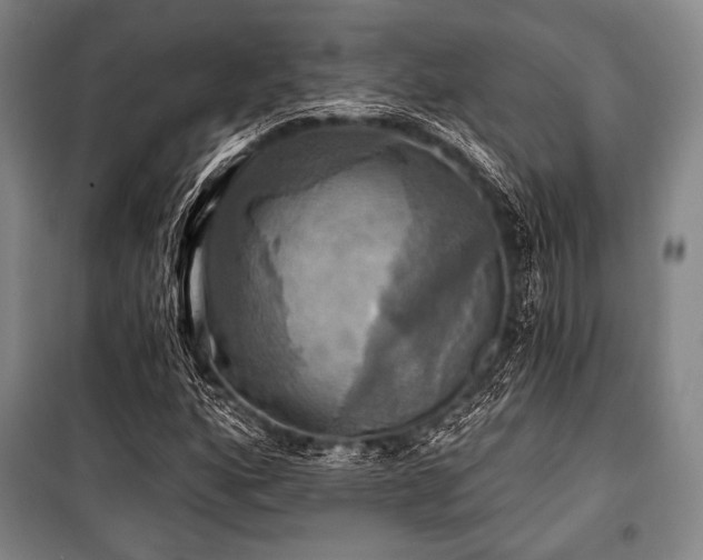 X0000101161160200806271003