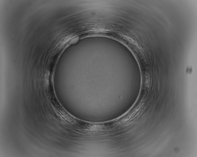X0000101161161200806271003