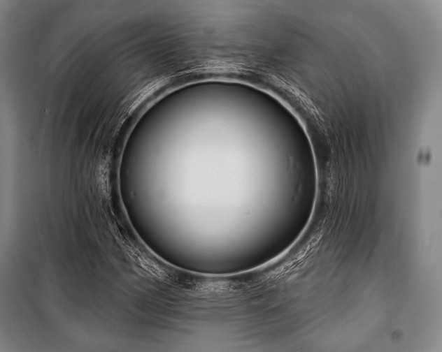X0000101161162200806271003