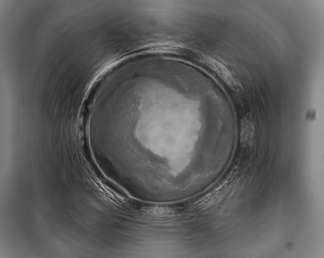 X0000101161164200806271002