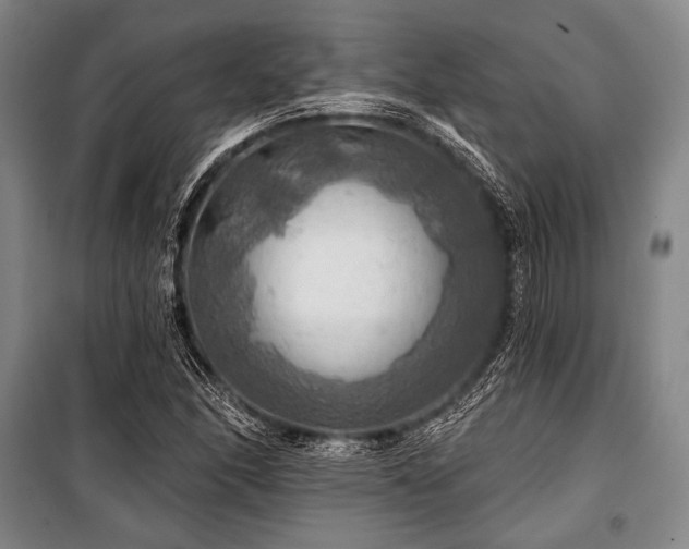 X0000101161166200806271002