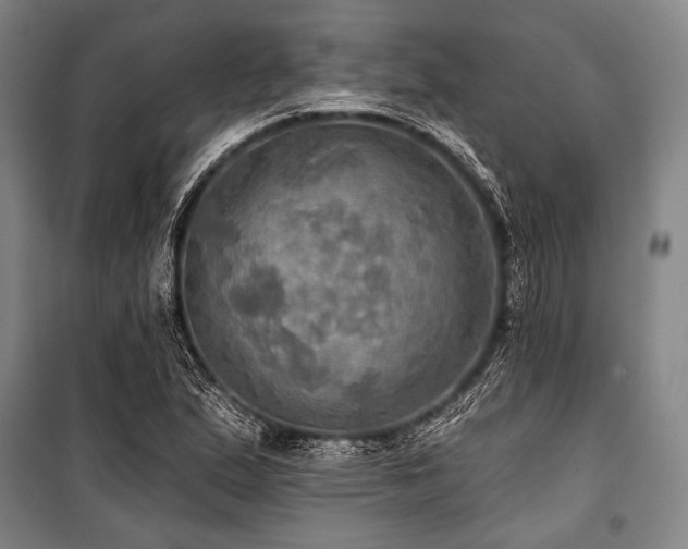 X0000101161167200806271002