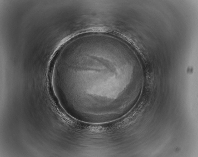 X0000101161168200806271002