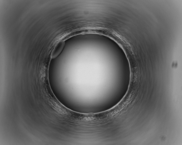 X0000101161169200806271002