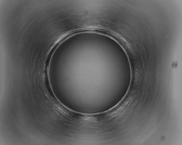 X0000101161170200806271002