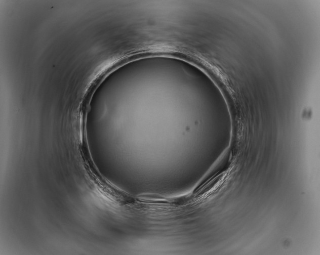 X0000101161171200806271002