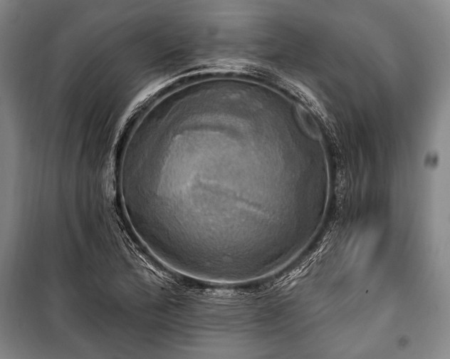 X0000101161172200806271002