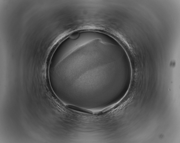 X0000101161173200806271002