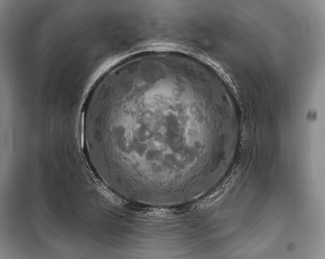 X0000101161175200806271002