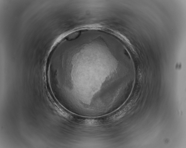 X0000101161176200806271002