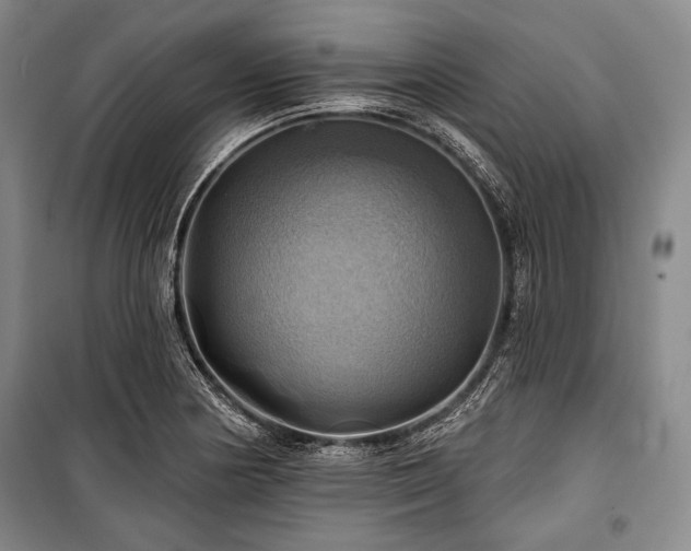 X0000101161178200806271002