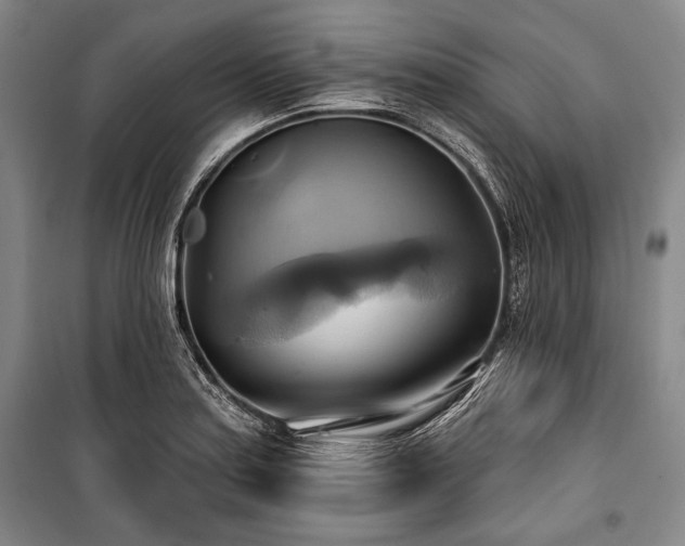 X0000101161179200806271002