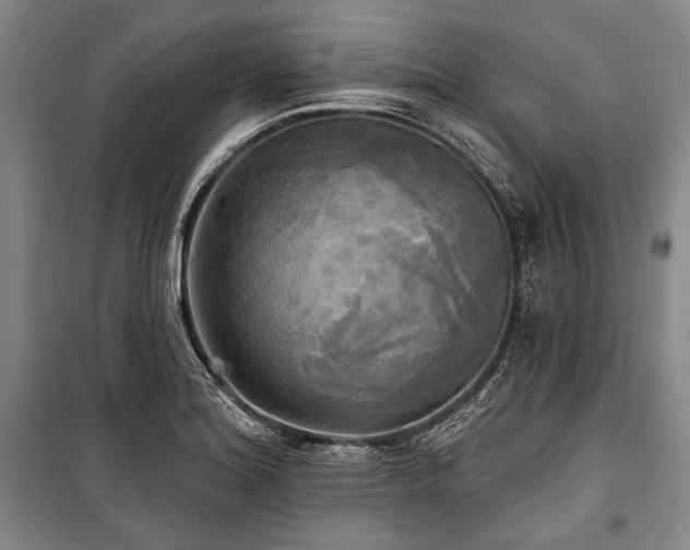 X0000101161180200806271002