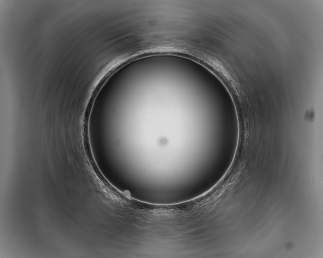 X0000101161181200806271002