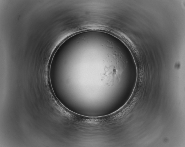 X0000101161182200806271002