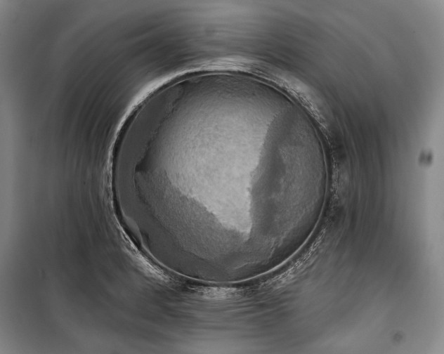 X0000101161184200806271002