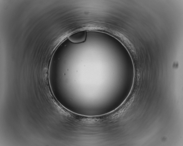 X0000101161185200806271002
