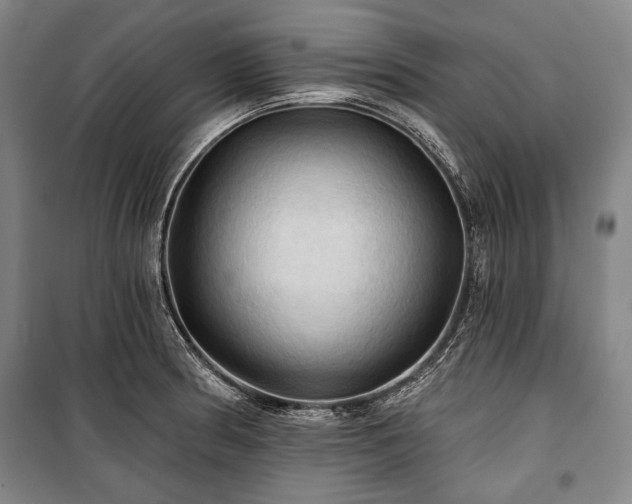 X0000101161186200806271002
