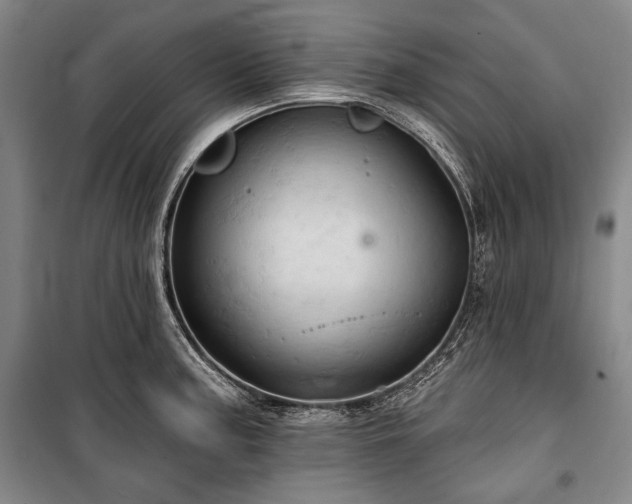 X0000101161187200806271002