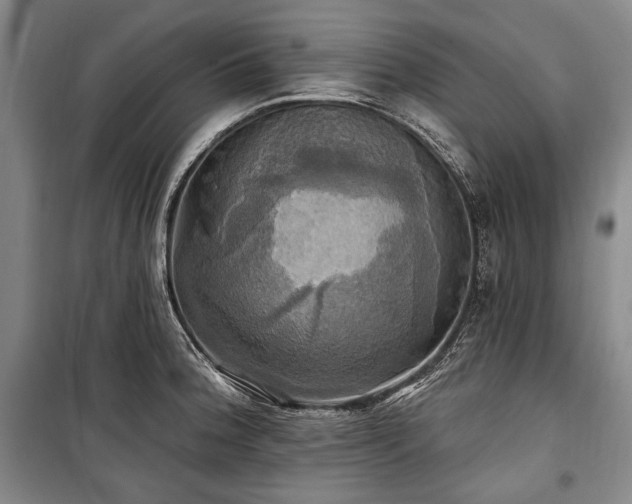 X0000101161188200806271002