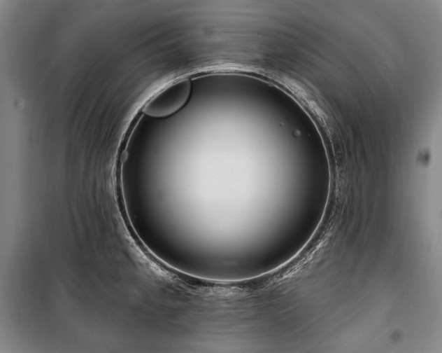 X0000101161189200806271002