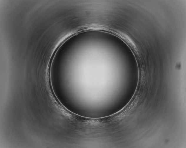 X0000101161190200806271002
