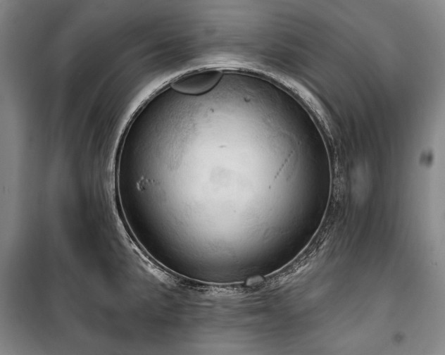 X0000101161191200806271002