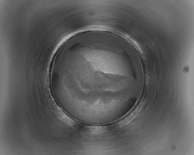 X0000101161192200806271002