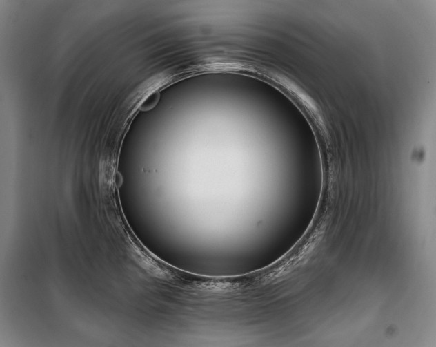 X0000101161193200806271002