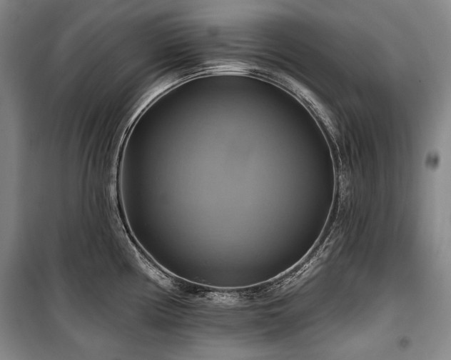 X0000101161194200806271002