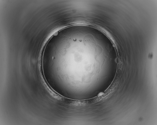 X0000101161195200806271002