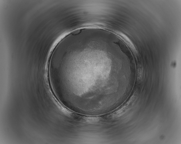 X0000101161196200806271002