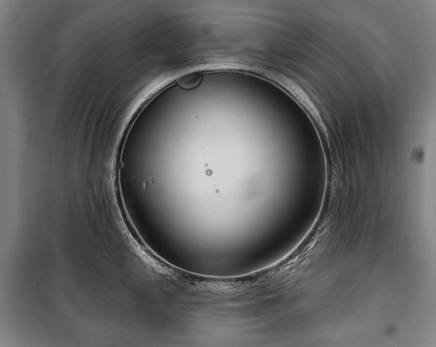 X0000101161197200806271002
