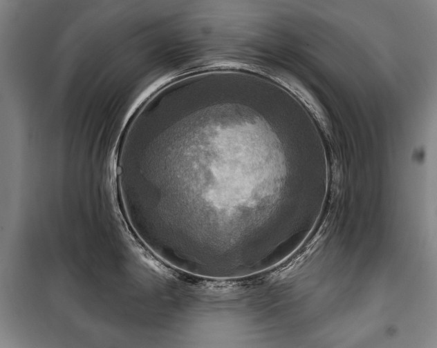 X0000101161198200806271002