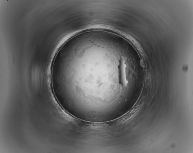 X0000101161199200806271002