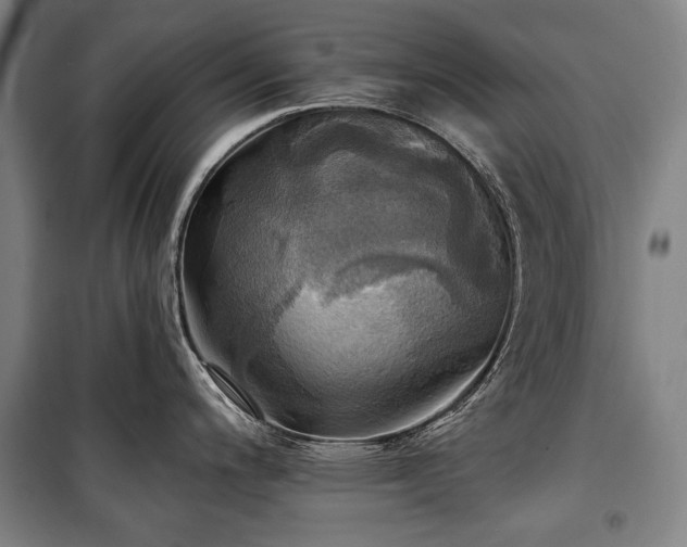 X0000101161200200806271002