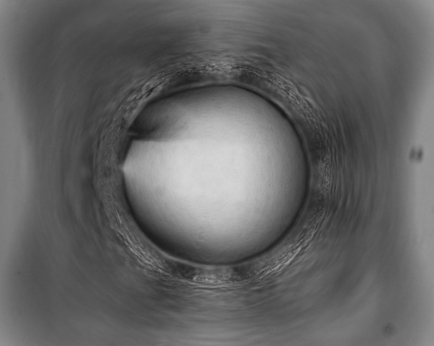 X0000101161201200806271001