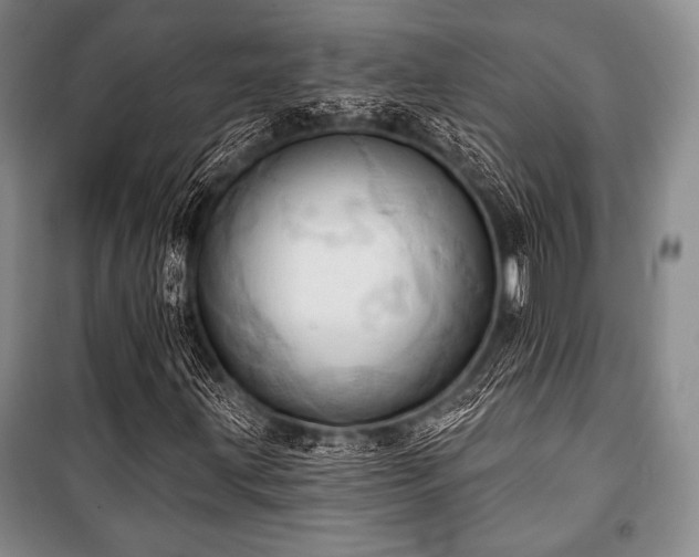 X0000101161203200806271001