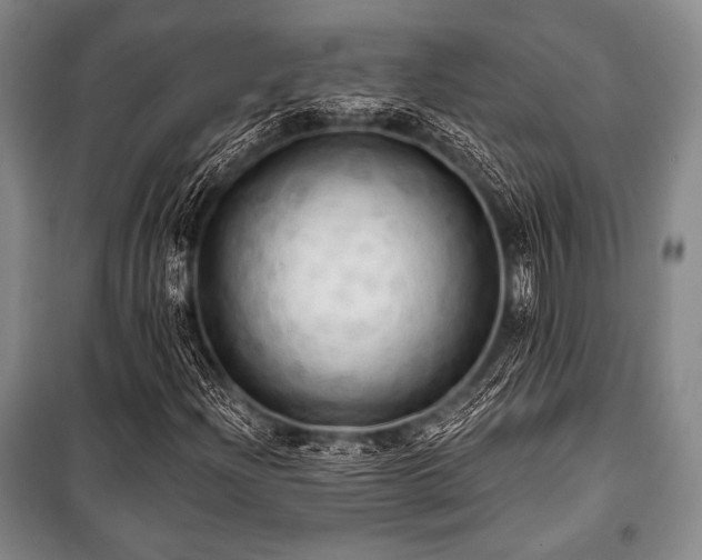 X0000101161204200806271001