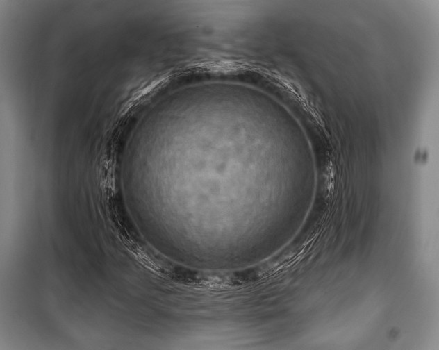 X0000101161205200806271001