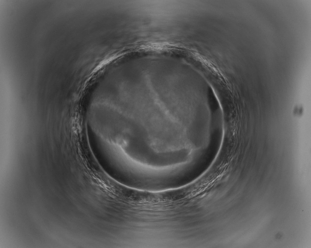 X0000101161206200806271001