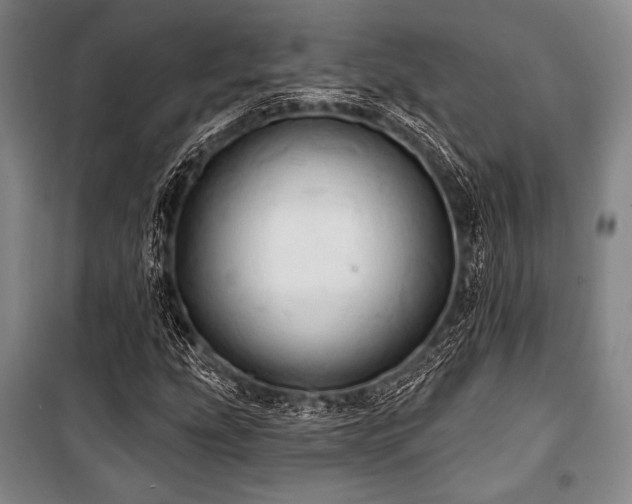 X0000101161207200806271001
