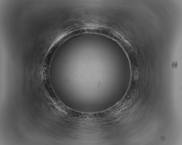 X0000101161208200806271001