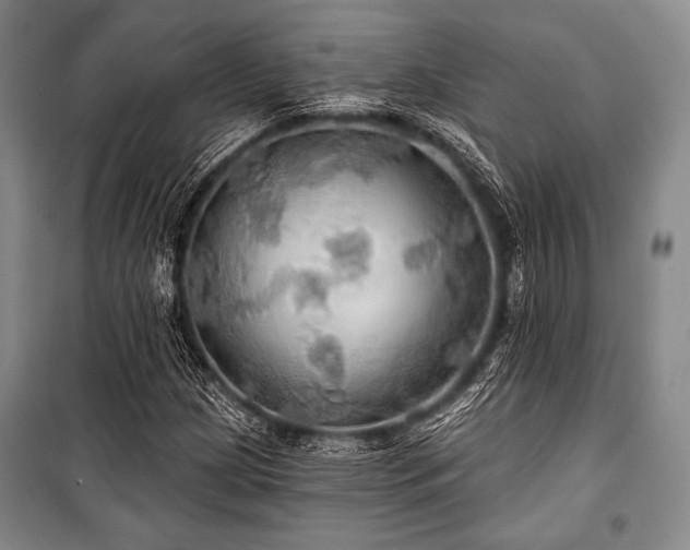 X0000101161209200806271001