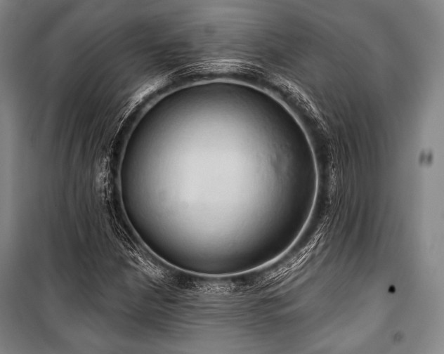 X0000101161210200806271001