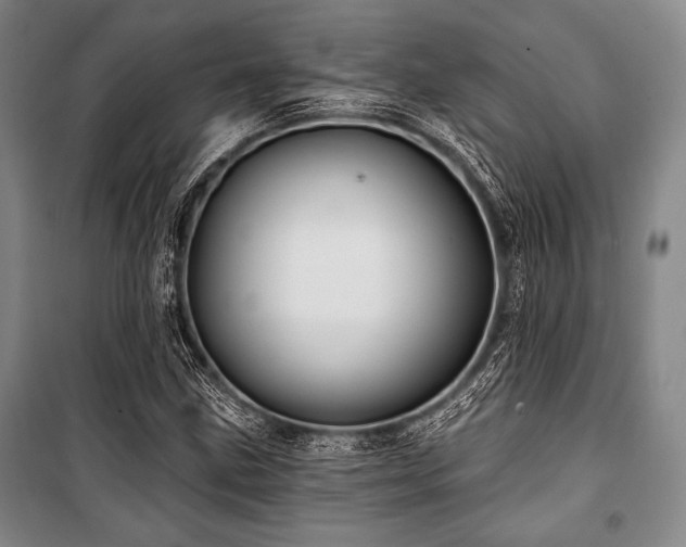 X0000101161211200806271001