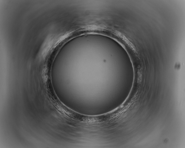 X0000101161213200806271001