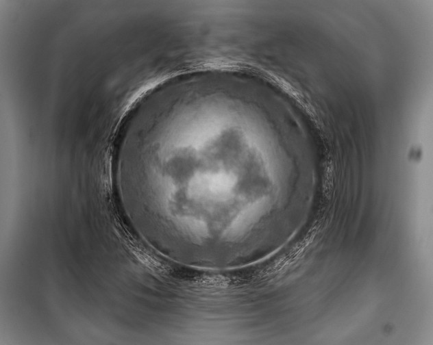 X0000101161214200806271001