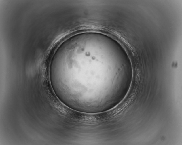 X0000101161215200806271001